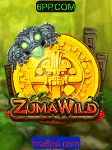 Explorando ZumaWild: Tudo o Que Você Precisa Saber
